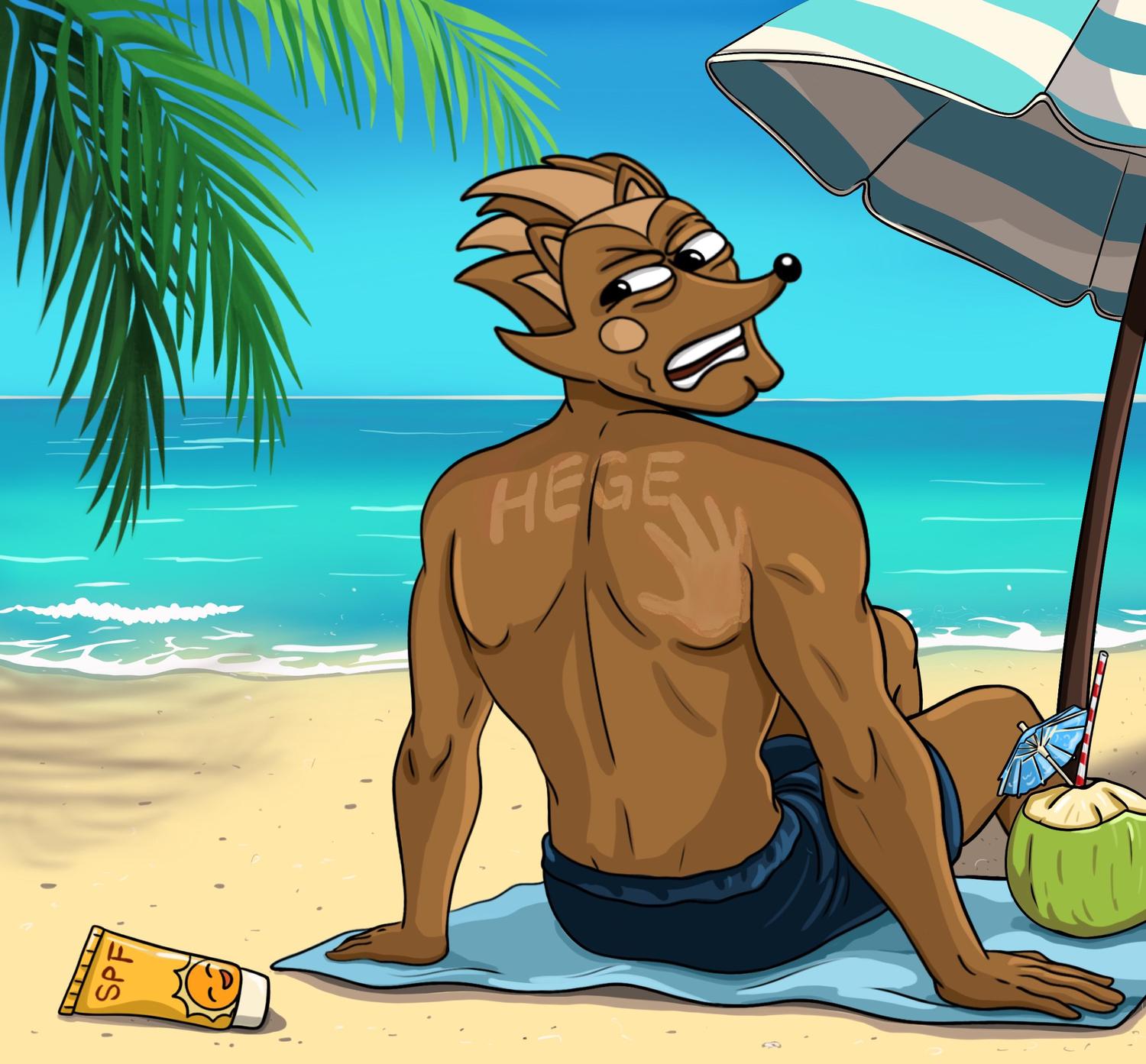 Hendrix sitting on a towel on the beach, mad about Hege making a tan imprint on his back