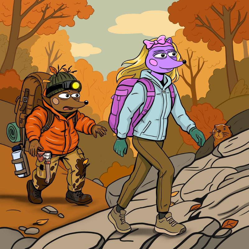 Hege and Hegena hiking in an autumn forest. Hegena is lightly packed and walking with ease, Hege is struggling behind, overloaded with equipment.